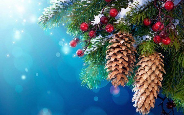 Kerstsfeer header
