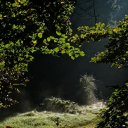 Herfst 2012