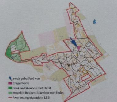 Habitat types in het Luntersche Buurtbosch op basis van Natura 2000 regelgeving. De witte gebieden zijn gemengd bos.